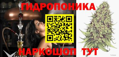 спиды Бузулук