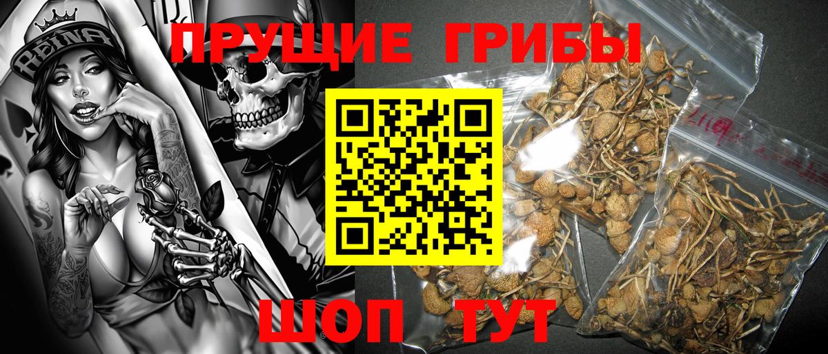 Галлюциногенные грибы прущие грибы  Вход с VPN  Похвистнево 